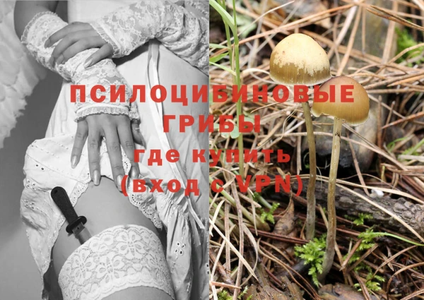 каннабис Абинск