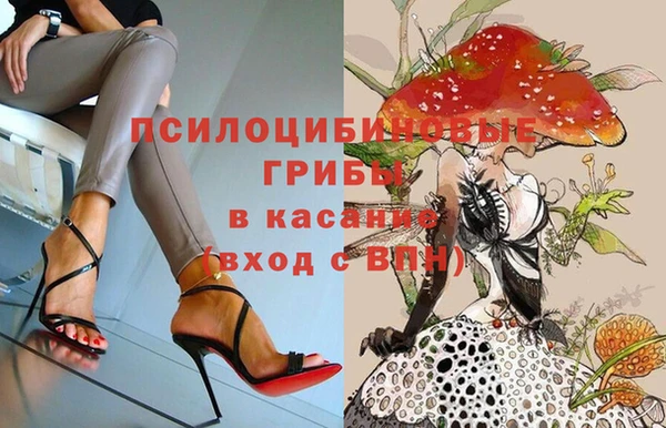 гидропоника Алексин